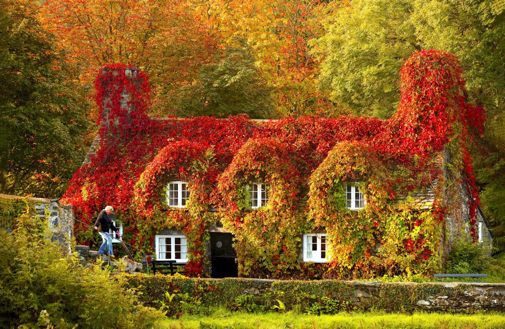 Осенние пейзажи 2014