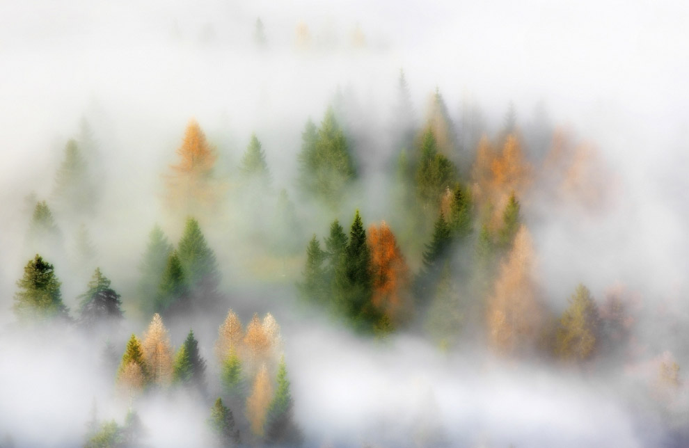 Осенние пейзажи 2014