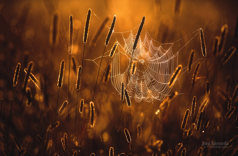 Осенние пейзажи 2014