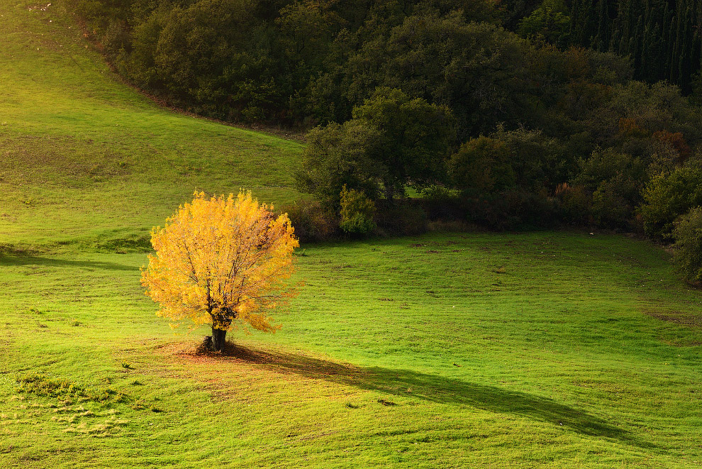 Осенние пейзажи 2014