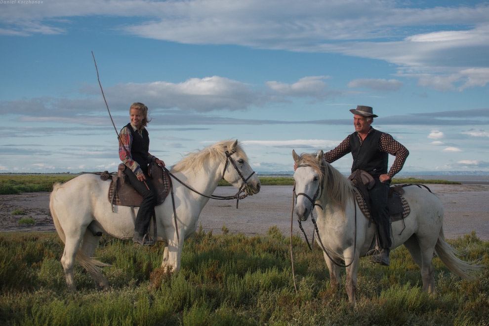 Ангелы Камарга