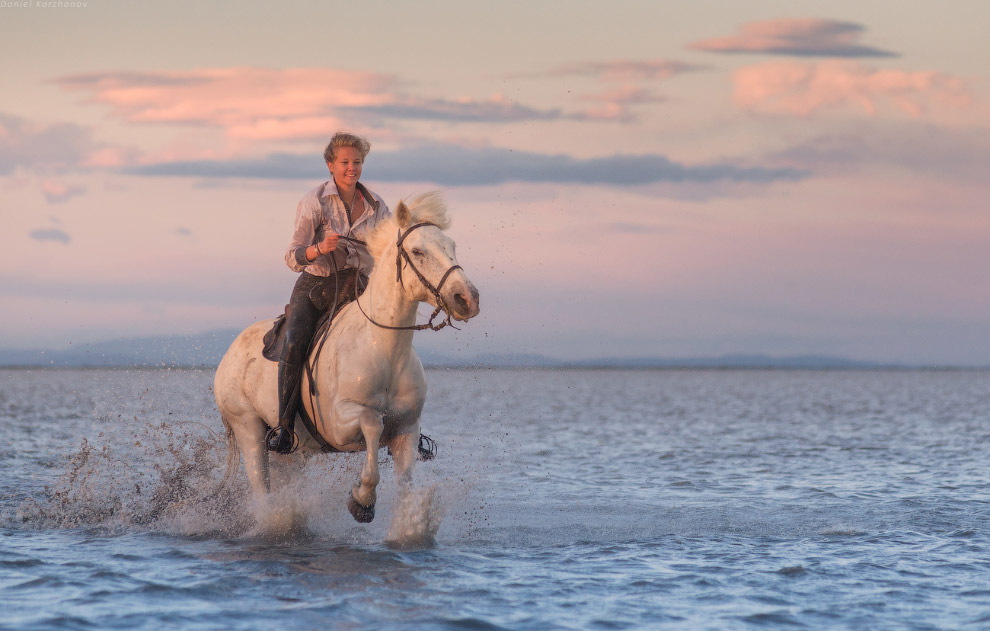 Ангелы Камарга