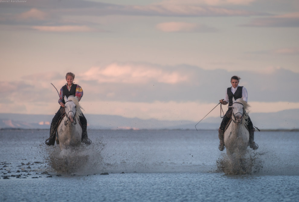 Ангелы Камарга