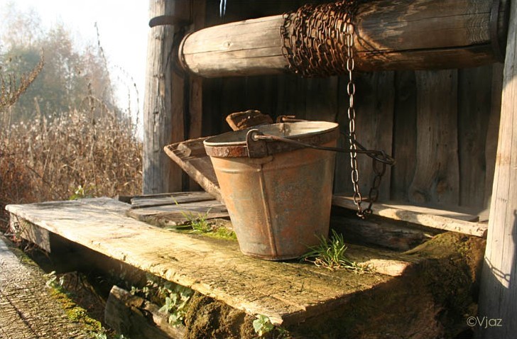 Самые нелепые смерти последних лет, “удостоившиеся” премии Дарвина