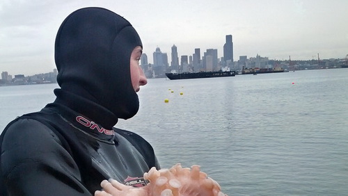 Спорим, вы не знали (10 фото) Спорим, вы не знали (10 фото)