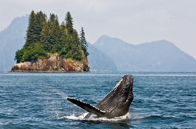 Регионы, в которых доплачивают за проживание Регионы, в которых доплачивают за проживание