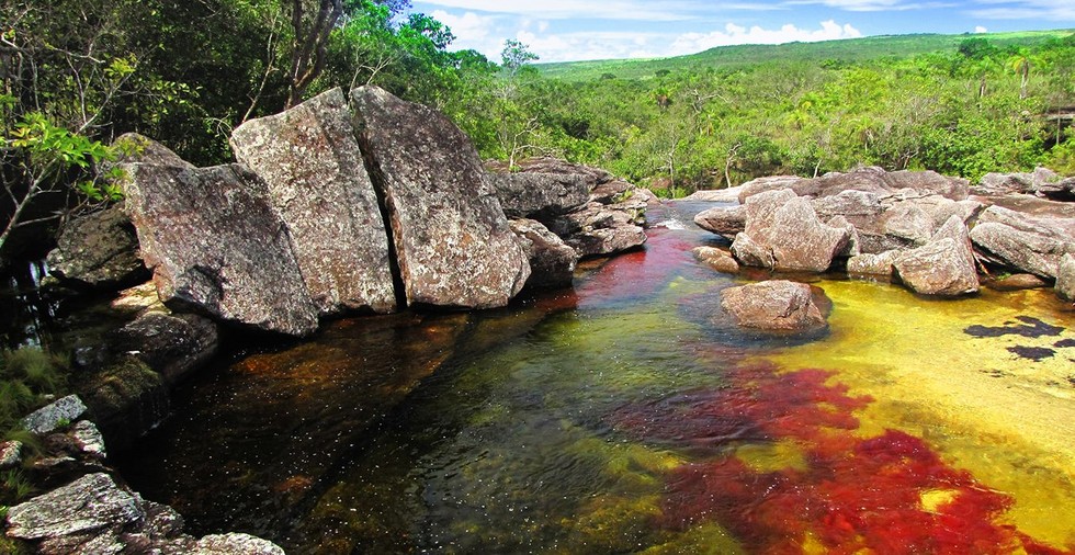 Каньо-Кристалес: самая красивая «жидкая радуга»