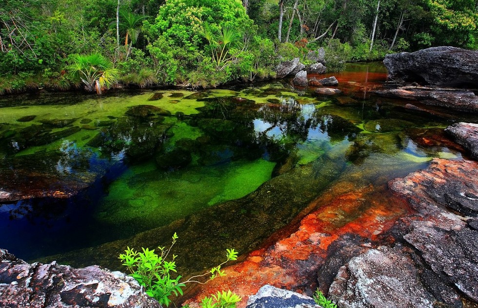 Каньо-Кристалес: самая красивая «жидкая радуга»