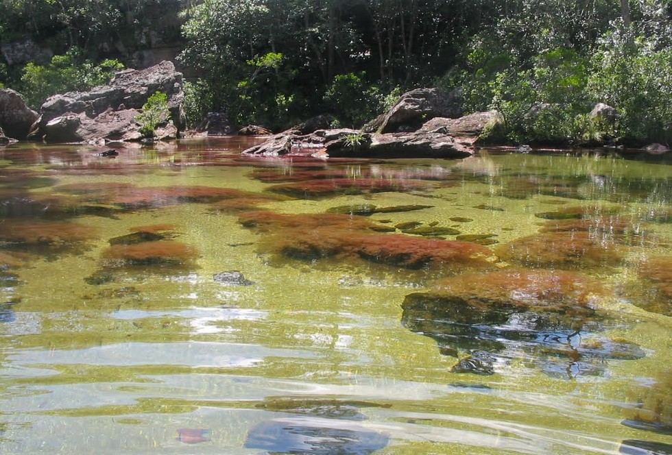 Каньо-Кристалес: самая красивая «жидкая радуга»
