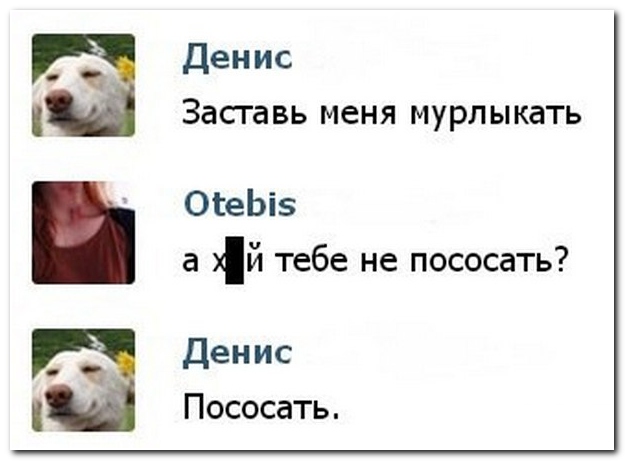 Смешные комментарии из социальных сетей