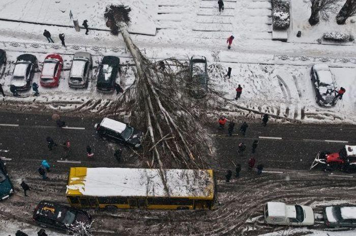 Прикольные картинки