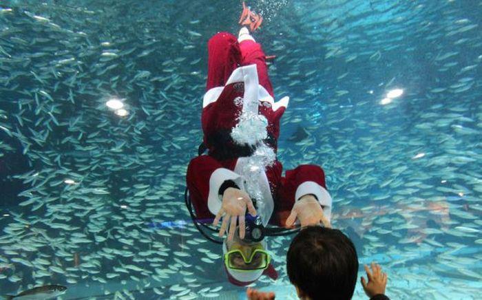 Прикольные картинки