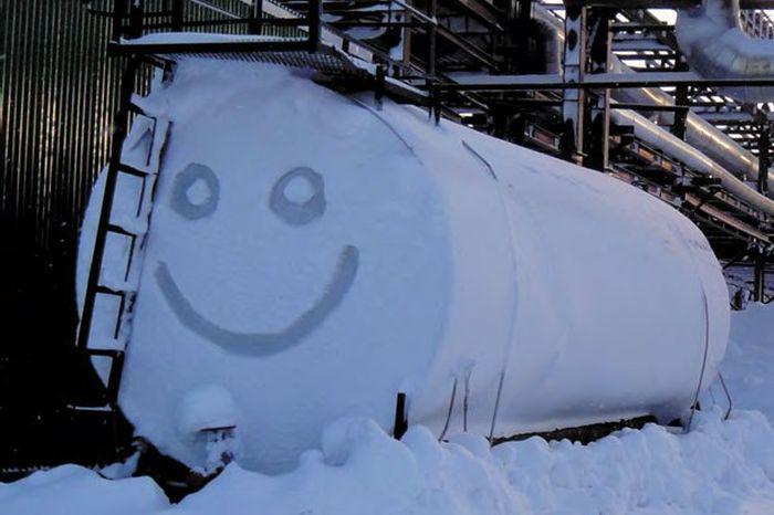 Прикольные картинки