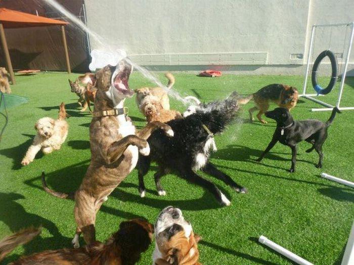 Прикольные картинки