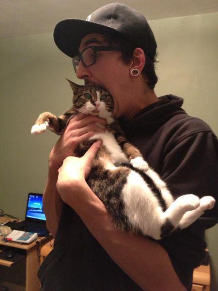 Прикольные картинки