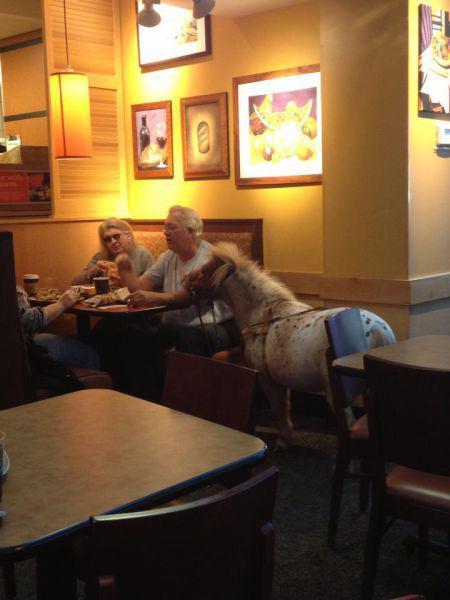 Прикольные картинки