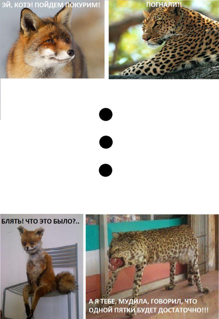 Прикольные картинки