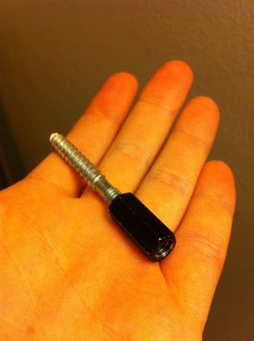 Как уберечь ёлку от кота (9 фото)