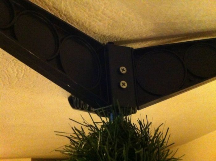 Как уберечь ёлку от кота (9 фото)