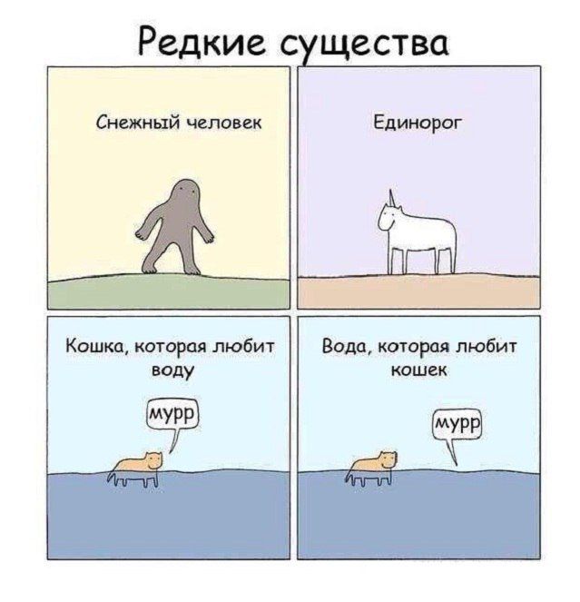 Смешные комиксы