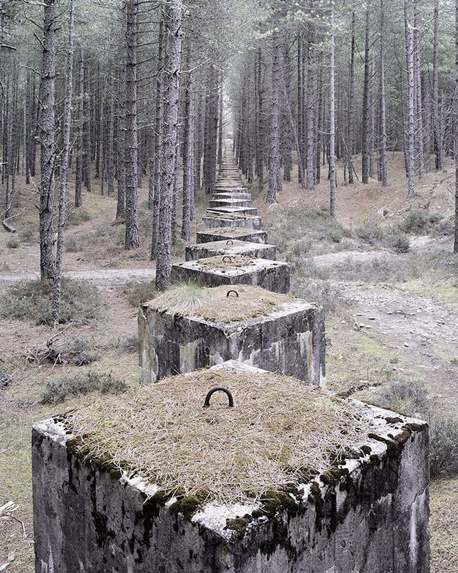 Тень защитника отечества