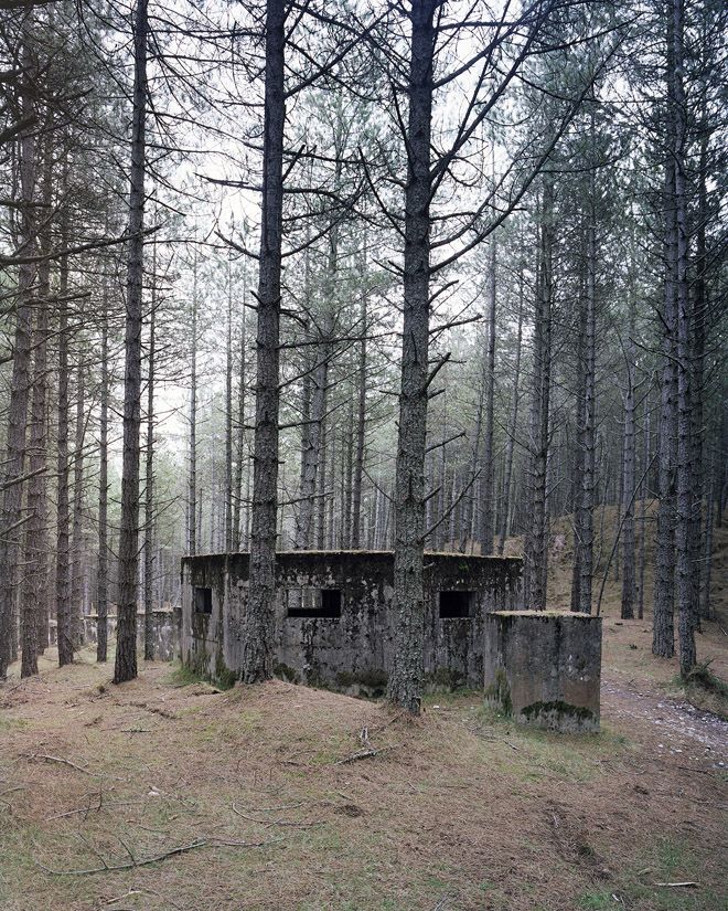 Тень защитника отечества