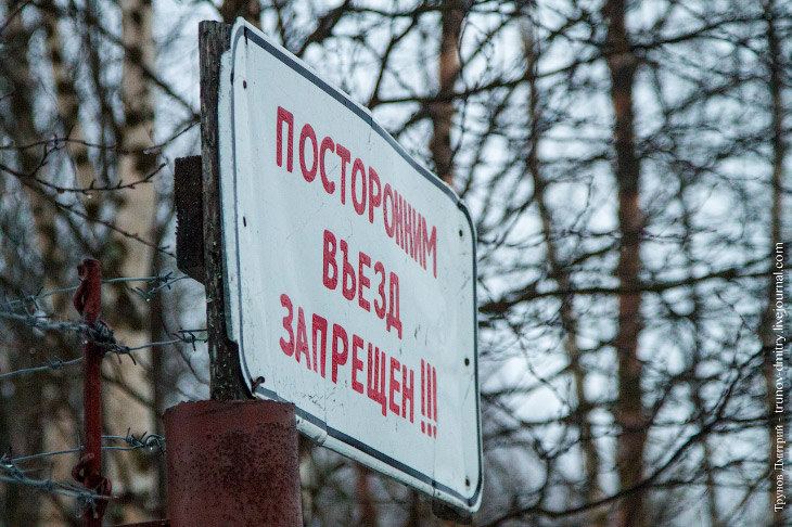 Как выращивают семгу