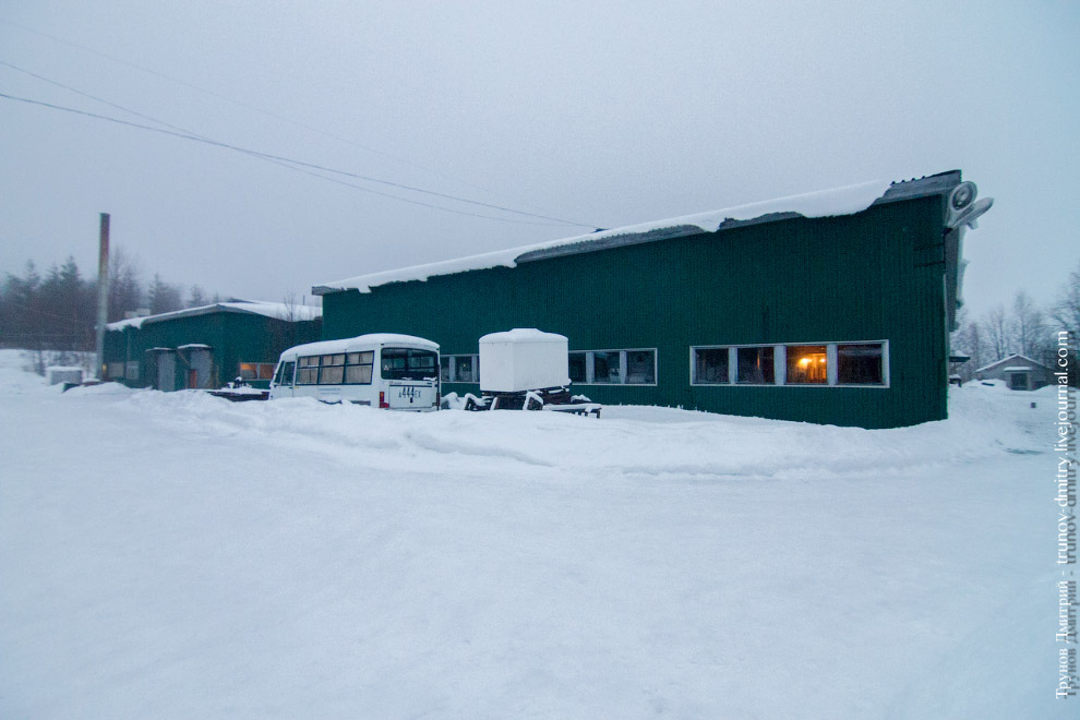 Как выращивают семгу