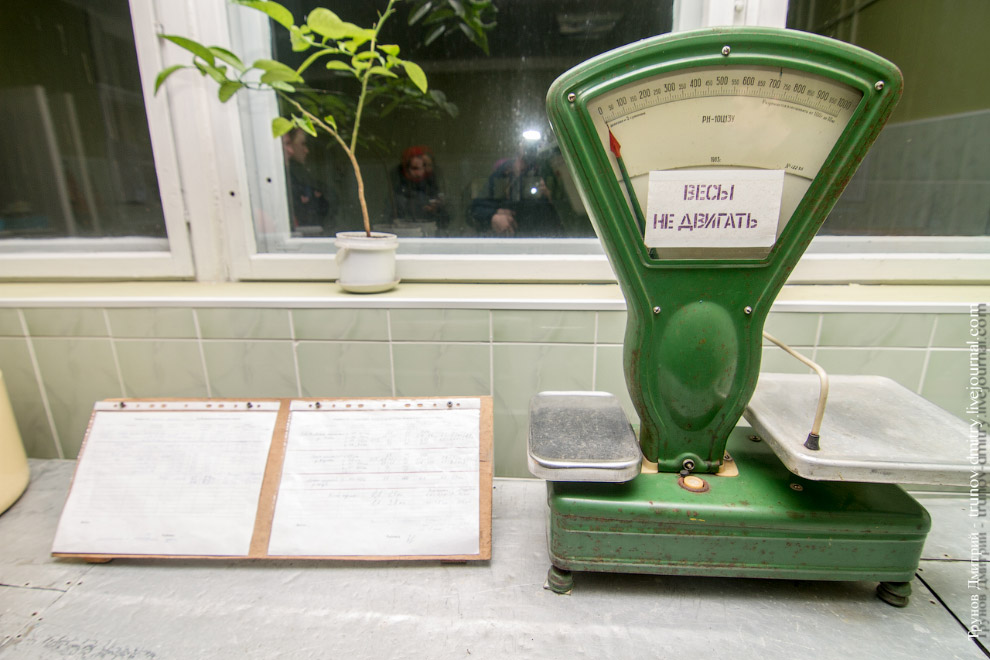 Как выращивают семгу