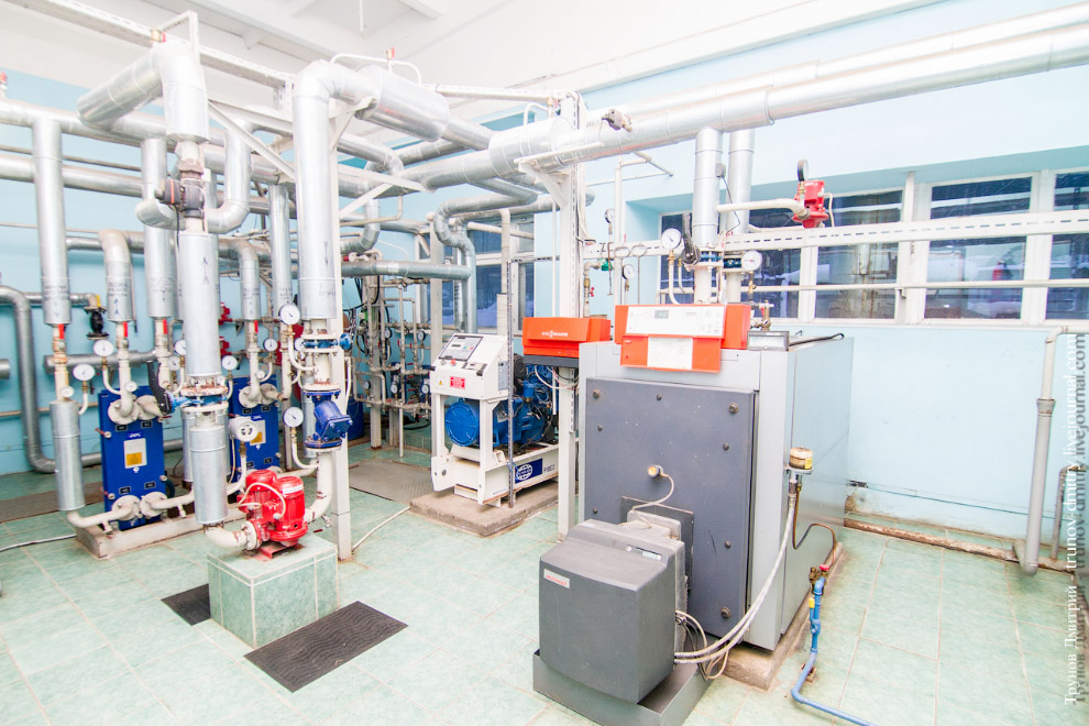 Как выращивают семгу