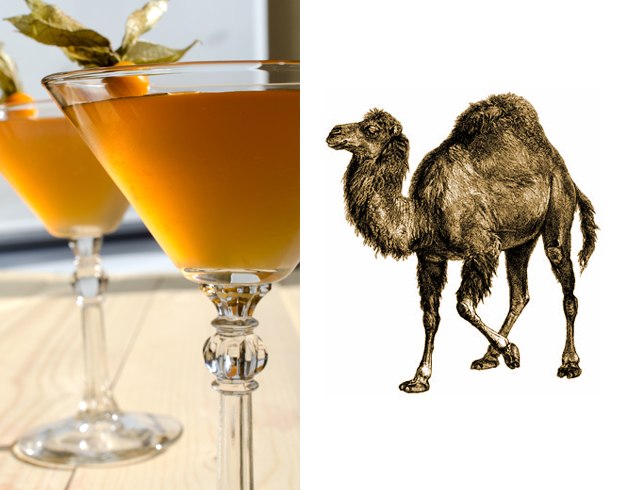 Несколько коктейлей для программистов