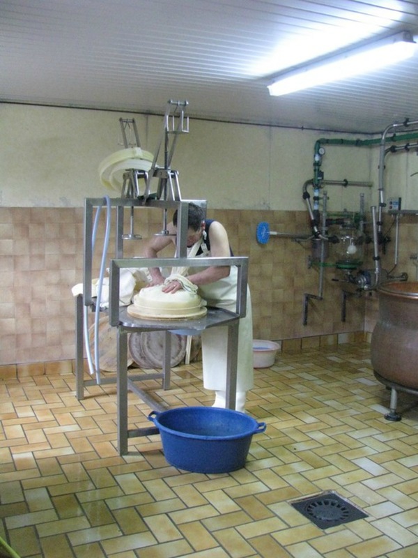 Производство сыра в Альпах