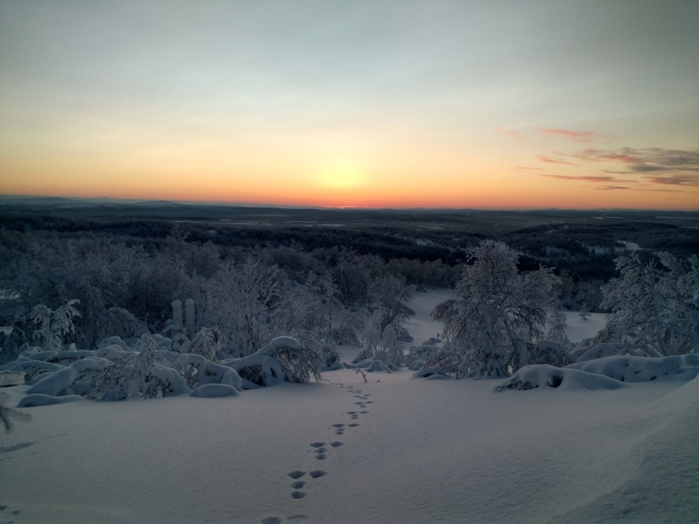 Жители Мурманска встретили первый рассвет в этом году Жители Мурманска встретили первый рассвет в этом году