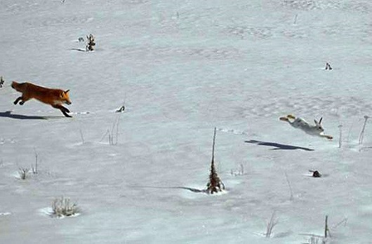 Поразительные парадоксы Вселенной Поразительные парадоксы Вселенной