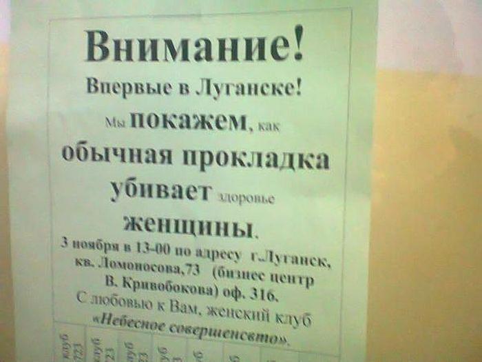 Прикольные картинки