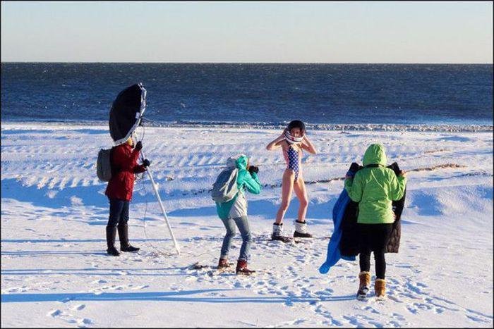 Прикольные картинки