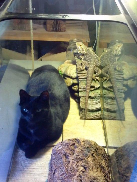 Прикольные картинки