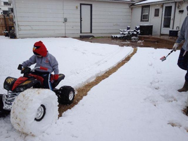 Прикольные картинки