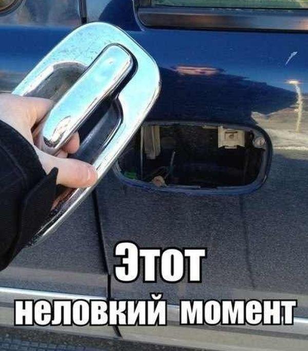 Прикольные картинки