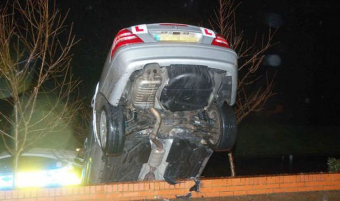 После урока вождения... (4 фото)