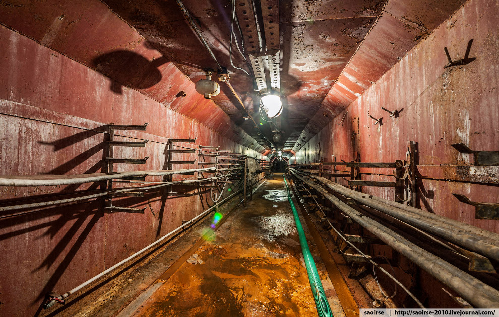 «Красный узел»