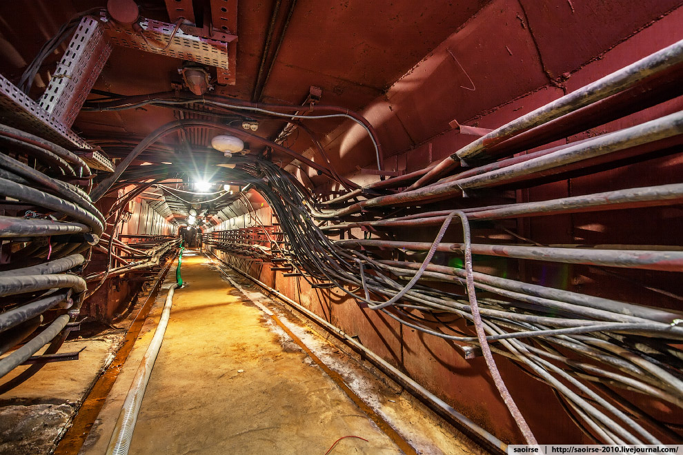 «Красный узел»