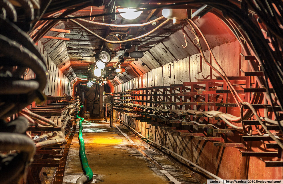 «Красный узел»