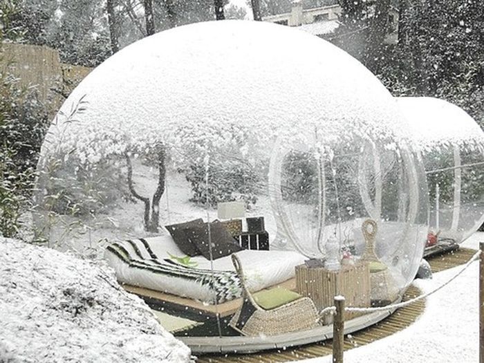 Прикольные картинки (65 фото)