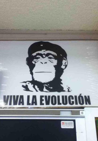 Прикольные картинки (65 фото)