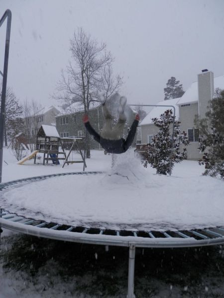 Прикольные картинки (65 фото)