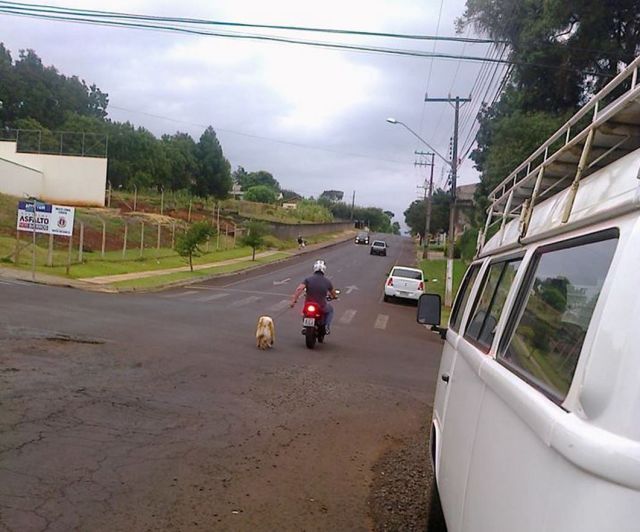 Прикольные картинки (65 фото)