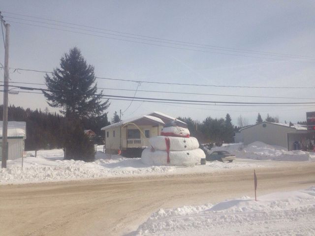 Прикольные картинки (65 фото)