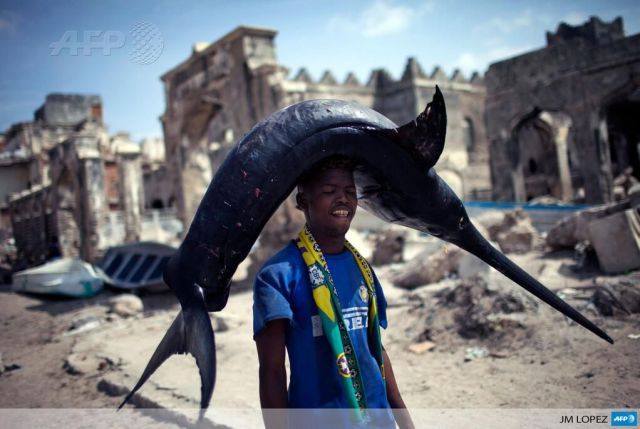 Прикольные картинки (65 фото)