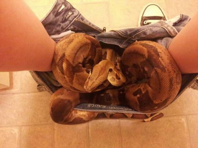 Прикольные картинки (65 фото)